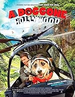 Cover image of the movie A Doggone Hollywood