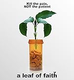 Cover image of the movie A Leaf of Faith