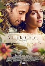 Cover image of the movie A Little Chaos