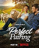 Cover image of the movie A Perfect Pairing
