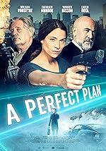 Cover image of the movie A Perfect Plan