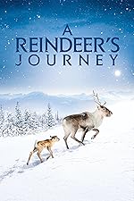Cover image of the movie A Reindeer's Journey