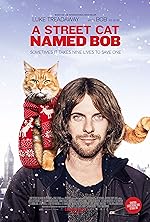 Cover image of the movie A Street Cat Named Bob