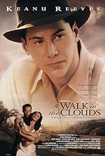 Cover image of the movie A Walk in the Clouds