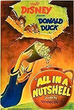 Cover image of the movie All in a Nutshell