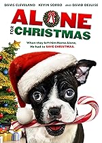 Cover image of the movie Alone for Christmas
