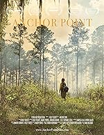 Cover image of the movie Anchor Point