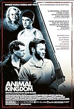 Cover image of the movie Animal Kingdom