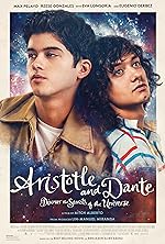 Cover image of the movie Aristotle and Dante Discover the Secrets of the Universe