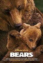 Cover image of the movie Bears