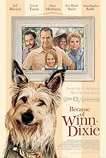 Cover image of the movie Because of Winn-Dixie