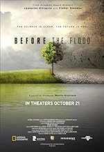 Cover image of the movie Before the Flood
