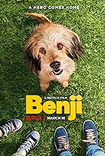Cover image of the movie Benji