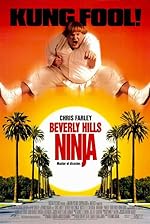 Cover image of the movie Beverly Hills Ninja