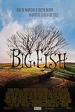 Cover image of the movie Big Fish