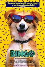 Cover image of the movie Bingo