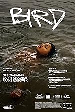 Cover image of the movie Bird