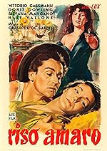 Cover image of the movie Bitter Rice