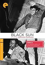 Cover image of the movie Black Sun