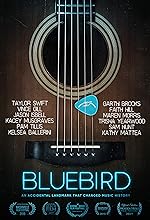 Cover image of the movie Bluebird