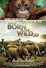 Cover image of the movie Born to Be Wild
