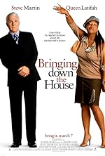 Cover image of the movie Bringing Down the House