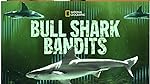Cover image of the movie Bull Shark Bandits