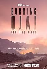 Cover image of the movie Burning Ojai: Our Fire Story
