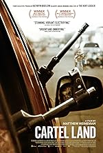 Cover image of the movie Cartel Land