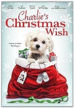 Cover image of the movie Charlie's Christmas Wish