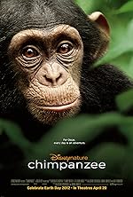 Cover image of the movie Chimpanzee