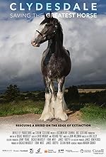 Cover image of the movie Clydesdale: Saving the Greatest Horse