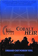 Cover image of the movie Cobalt Heir
