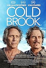 Cover image of the movie Cold Brook