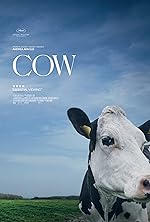 Cover image of the movie Cow