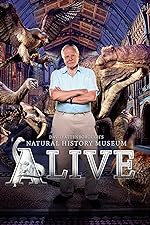 Cover image of the movie David Attenborough's Natural History Museum Alive