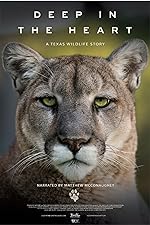 Cover image of the movie Deep in the Heart: A Texas Wildlife Story