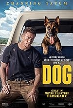 Cover image of the movie Dog