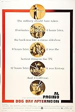 Cover image of the movie Dog Day Afternoon