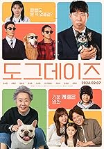 Cover image of the movie Dog Days