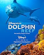 Cover image of the movie Dolphin Reef