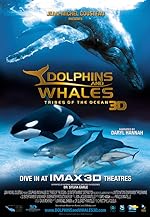 Cover image of the movie Dolphins and Whales 3D: Tribes of the Ocean