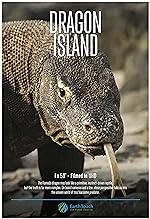 Cover image of the movie Dragon Island