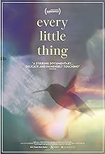 Cover image of the movie Every Little Thing