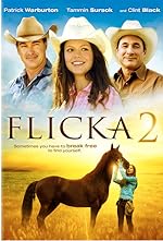 Cover image of the movie Flicka 2