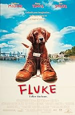 Cover image of the movie Fluke