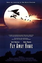 Cover image of the movie Fly Away Home