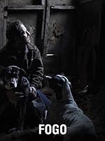 Cover image of the movie Fogo