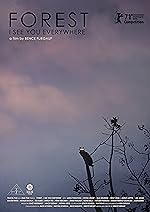 Cover image of the movie Forest: I See You Everywhere