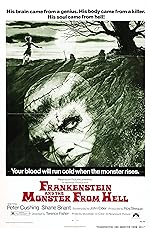 Cover image of the movie Frankenstein and the Monster from Hell